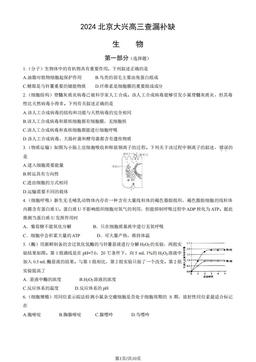 2024北京大兴高三查漏补缺生物（教师版）-答案