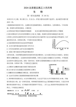2024北京密云高三3月月考生物（教师版）-答案