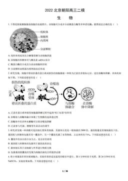 2022北京朝阳高三二模生物（教师版）-答案