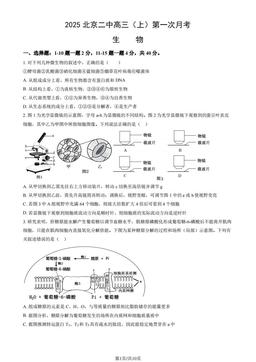 2025北京二中高三（上）第一次月考生物（教师版）-答案
