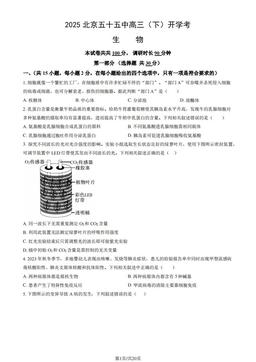 2025北京五十五中高三（下）开学考生物（教师版）-答案