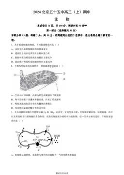 2024北京五十五中高三（上）期中生物-试题