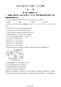 2025北京大兴一中高二（上）期中生物（教师版）-答案