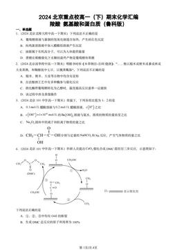 2024北京重点校高一（下）期末化学汇编：羧酸 氨基酸和蛋白质（鲁科版）-答案
