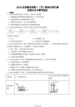 2024北京重点校高一（下）期末化学汇编：生物大分子章节综合-答案