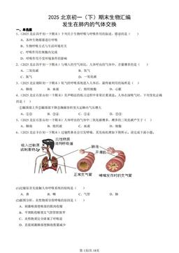 2025北京初一（下）期末生物汇编：发生在肺内的气体交换-答案
