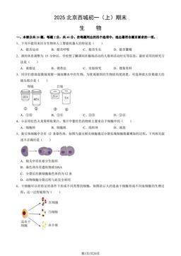 2025北京西城初一（上）期末生物（教师版）-答案