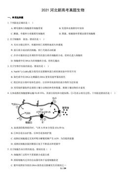 2021河北新高考真题生物（教师版）-答案