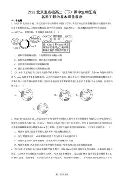 2023北京重点校高二（下）期中生物汇编：基因工程的基本操作程序-答案