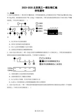 2023-2025北京高三一模生物汇编：伴性遗传-答案