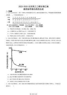 2023-2025北京高三二模生物汇编：基因指导蛋白质的合成-答案