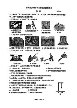 2025北京首都师大附中初二6月月考物理-试题
