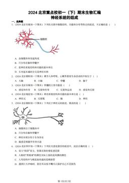 2024北京重点校初一（下）期末生物汇编：神经系统的组成-答案