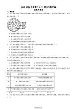 2022-2024北京高三（上）期末生物汇编：细胞的增殖-答案