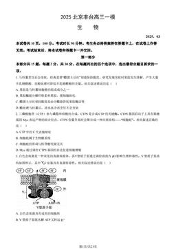 2025北京丰台高三一模生物（教师版）-答案