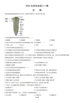 2022北京丰台初二一模生物（教师版）-答案