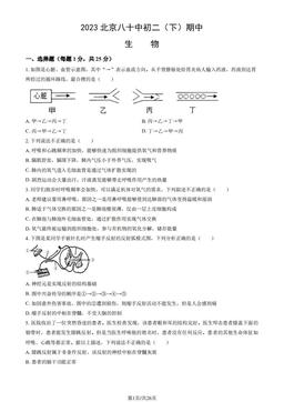 2023北京八十中初二（下）期中生物（教师版）-答案