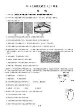 2019北京顺义初三（上）期末生物-试题
