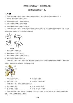 2022北京初二一模生物汇编：动物的运动和行为-答案