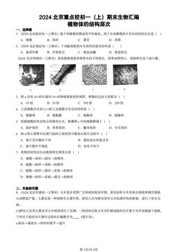 2024北京重点校初一（上）期末生物汇编：植物体的结构层次-答案