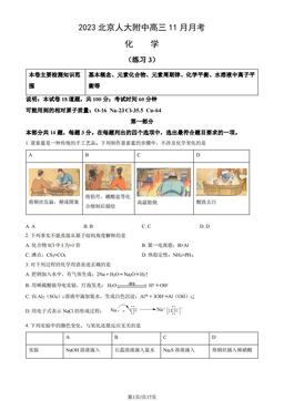 2023北京人大附中高三11月月考化学（教师版）-答案