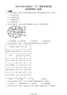 2023-2025北京初一（下）期末生物汇编：流动的组织—血液-答案