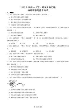 2025北京初一（下）期末生物汇编：神经调节的基本方式-答案