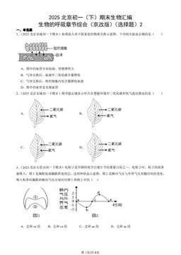 2025北京初一（下）期末生物汇编：生物的呼吸章节综合（京改版）（选择题）2-答案