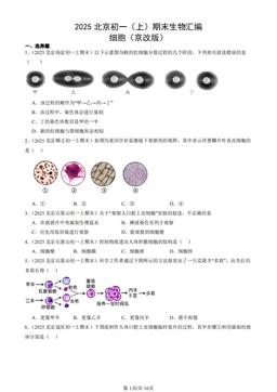 2025北京初一（上）期末生物汇编：细胞（京改版）-答案