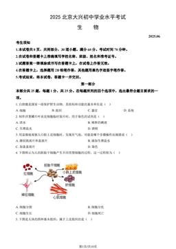 2025北京大兴初中学业水平考试生物（教师版）-答案