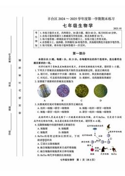 2025北京丰台初一（上）期末生物-答案