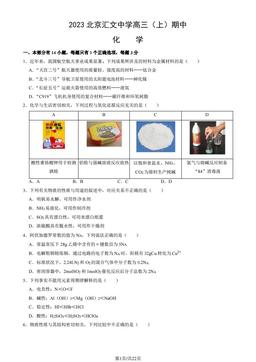 2023北京汇文中学高三（上）期中化学（教师版）-答案