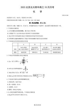 2023北京北大附中高三10月月考化学（预科部）（教师版）-答案