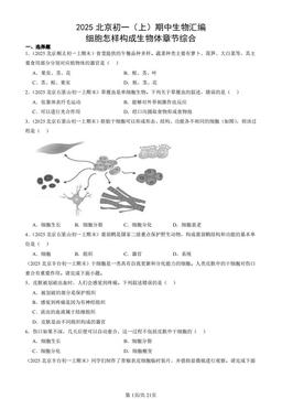 2025北京初一（上）期中生物汇编：细胞怎样构成生物体章节综合-答案