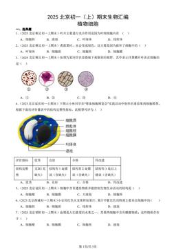 2025北京初一（上）期末生物汇编：植物细胞-答案