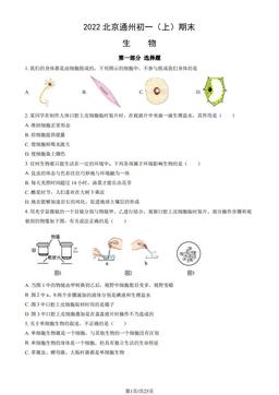 2022北京通州初一（上）期末生物（教师版）-答案