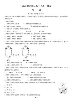 2022北京顺义高一（上）期末生物（教师版）-答案