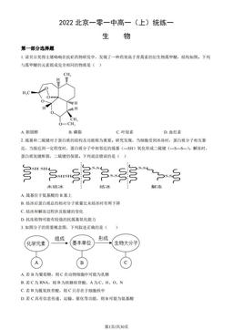 2022北京一零一中高一（上）统练一生物（教师版）-答案