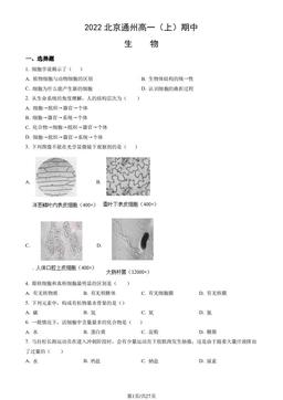2022北京通州高一（上）期中生物（教师版）-答案