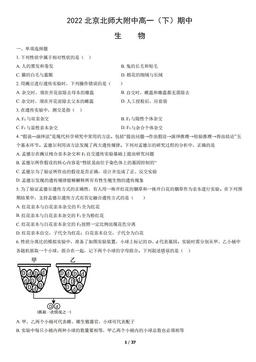 2022北京北师大附中高一（下）期中生物（教师版）-答案
