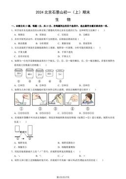 2024北京石景山初一（上）期末生物（教师版）-答案