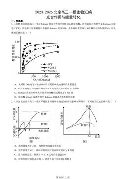 2023-2025北京高三一模生物汇编：光合作用与能量转化-答案