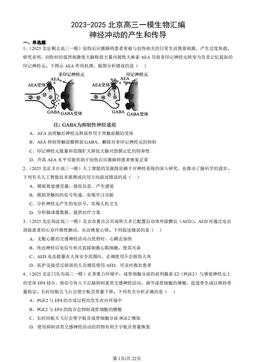 2023-2025北京高三一模生物汇编：神经冲动的产生和传导-答案