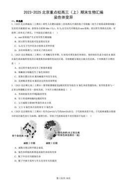 2023-2025北京重点校高三（上）期末生物汇编：染色体变异-答案