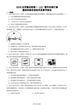 2024北京重点校高一（上）期中生物汇编：基因和染色体的关系章节综合-答案