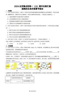 2024北京重点校高一（上）期中生物汇编：细胞的生命历程章节综合-答案