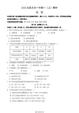 2024北京大兴一中高一（上）期中化学（教师版）