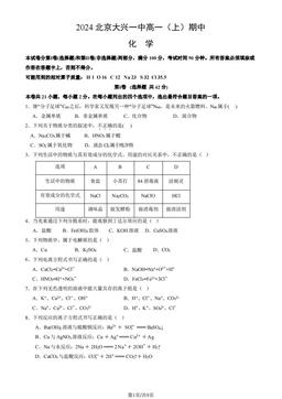 2024北京大兴一中高一（上）期中化学（教师版）-答案
