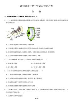 2018北京一零一中初三10月月考生物（教师版）-答案