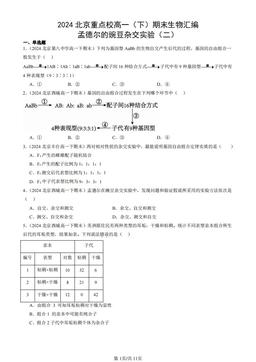 2024北京重点校高一（下）期末生物汇编：孟德尔的豌豆杂交实验（二）-答案